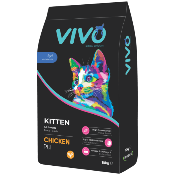 VIVO Cat Kitten cu pui